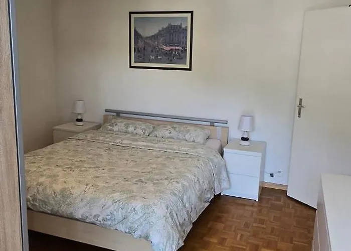 Centre, Vue Panoramique Sur Le Et Les Montagnes モントルー